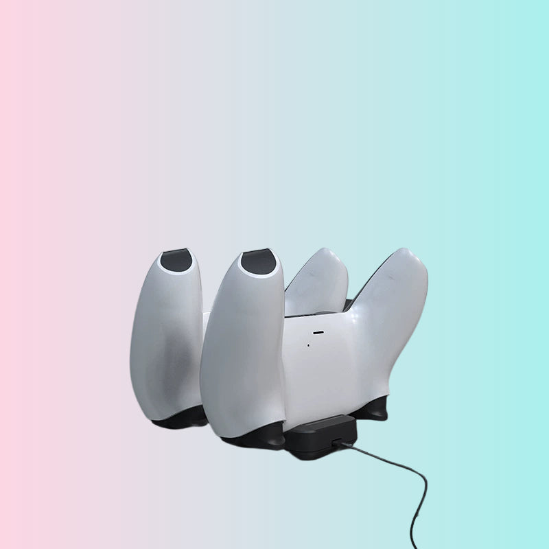 P5S Dual-Charging Dual-Dock PS5 Dual Controller Charging Dock PS5 Wireless Controller Charger HBP-262